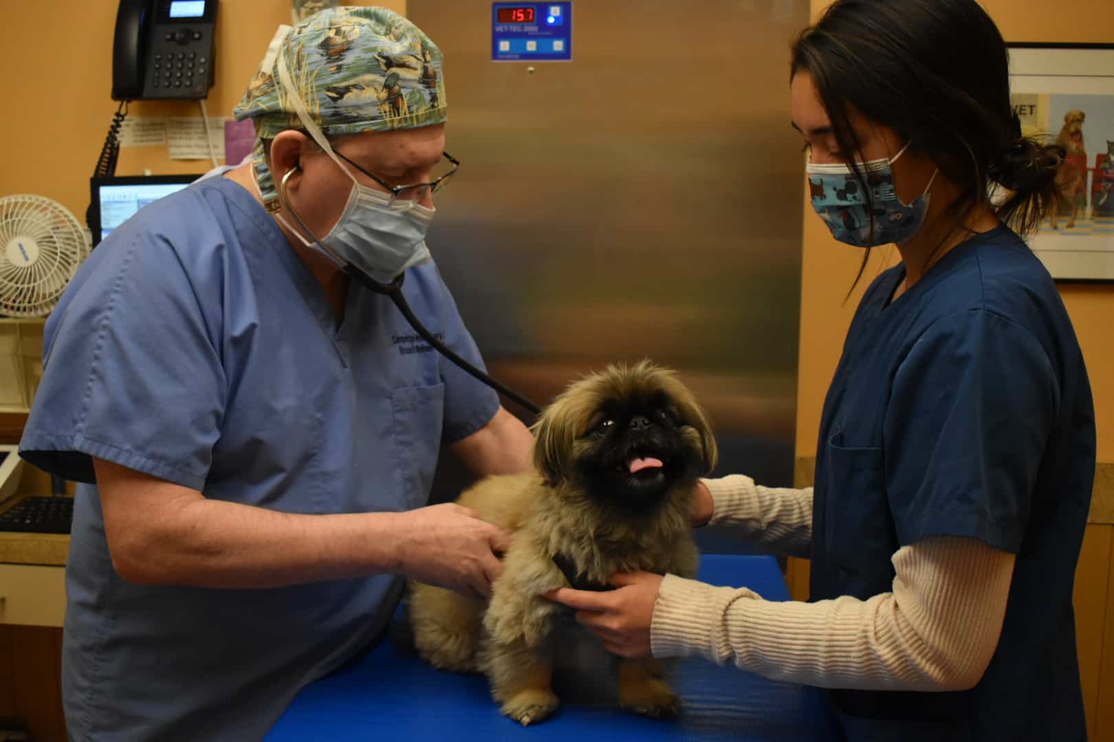 critical-care-service critical-care-service